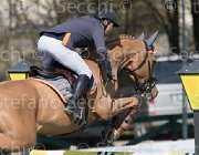 Zuvadelli Walestro TosTour2013- S5 2639 : Arezzo, Arezzo Equestrian Centre, Toscana Tour 2013, Walestro, Zuvadelli Paolo, foto di Stefano Secchi ©