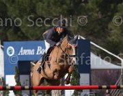 Zuvadelli Walestro TosTour 2013- S5 7684 : Arezzo Equestrian Centre, Toscana Tour 2013, Walestro, Zuvadelli Paolo, foto di Stefano Secchi ©