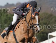 Zuvadelli Walestro TosTour 2013- S5 7691 : Arezzo Equestrian Centre, Toscana Tour 2013, Walestro, Zuvadelli Paolo, foto di Stefano Secchi ©