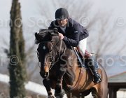 NN TosTour2013- S5 2038 : Arezzo, Arezzo Equestrian Centre, Toscana Tour 2013, foto di Stefano Secchi ©, nn