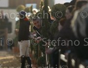  S4 6360 : Arezzo, Arezzo Equestrian Centre, Toscana Tour 2013, foto di Stefano Secchi ©