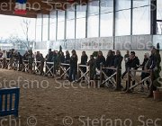  S5 2960 : Arezzo, Arezzo Equestrian Centre, Toscana Tour 2013, foto di Stefano Secchi ©