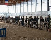  S5 2961 : Arezzo, Arezzo Equestrian Centre, Toscana Tour 2013, foto di Stefano Secchi ©