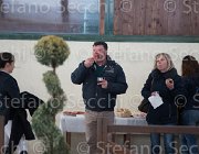  S5 3038 : Arezzo, Arezzo Equestrian Centre, Toscana Tour 2013, foto di Stefano Secchi ©