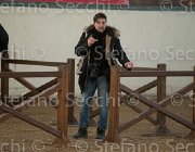  S5 3059 : Arezzo, Arezzo Equestrian Centre, Toscana Tour 2013, foto di Stefano Secchi ©