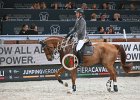 Beerbaum_Leonidas_Verona2014_SS7_4467.jpg : Beerbaum Ludger, FIERA CAVALLI 2014, LEONIDAS, foto di Stefano Secchi ©