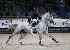 Casadei_Cruzeiro_Verona2014_SS7_6611.jpg : Casadei Mirco, Cruzeiro, FIERA CAVALLI 2014, foto di Stefano Secchi ©