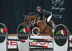 Delaveau_Carinjo_Verona2014_SS7_4023.jpg : CARINJO HDC, Delaveau Patrice, FIERA CAVALLI 2014, foto di Stefano Secchi ©
