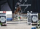 Delaveau_Carinjo_Verona2014_SS7_7948.jpg : CARINJO HDC, Delaveau Patrice, FIERA CAVALLI 2014, foto di Stefano Secchi ©