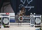 Garcia_Bonzai_Verona2014_SS7_7306.jpg : Bonzai van de Warande, FIERA CAVALLI 2014, GARCIA Juan Carlos, foto di Stefano Secchi ©