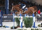 Offel_Quebracho_Verona2014_SS7_6039.jpg : FIERA CAVALLI 2014, Offel Katarina, Quebracho Semilly, foto di Stefano Secchi ©