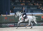 Philippaerts_Cabrio_Verona2014_SS7_4430.jpg : CABRIO VAN DE HEFFINCK, FIERA CAVALLI 2014, Phlippaerts Olivier, foto di Stefano Secchi ©