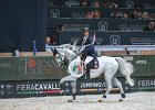 Philippaerts_Cabrio_Verona2014_SS7_4431.jpg : CABRIO VAN DE HEFFINCK, FIERA CAVALLI 2014, Phlippaerts Olivier, foto di Stefano Secchi ©
