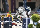 Philippaerts_Cabrio_Verona2014_SS7_4432.jpg : CABRIO VAN DE HEFFINCK, FIERA CAVALLI 2014, Phlippaerts Olivier, foto di Stefano Secchi ©