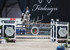 Philippaerts_Cabrio_Verona2014_SS7_7689.jpg : CABRIO VAN DE HEFFINCK, FIERA CAVALLI 2014, Philippaerts Olivier, foto di Stefano Secchi ©