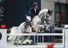 Philippaerts_Cabrio_Verona2014_SS7_7693.jpg : CABRIO VAN DE HEFFINCK, FIERA CAVALLI 2014, Philippaerts Olivier, foto di Stefano Secchi ©