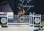 Richard_Quister_Verona2014_SS7_7864.jpg : FIERA CAVALLI 2014, Quister de Gouldenboom, Richard Philipps Jane, foto di Stefano Secchi ©
