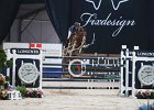 Sprunger_Aris_Verona2014_SS7_7350.jpg : Aris Cms, FIERA CAVALLI 2014, Sprunger Janika, foto di Stefano Secchi ©