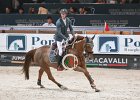 Staut_Ayade_Verona2014_SS7_5286.jpg : AYADE DE SEPTON ET HDC, FIERA CAVALLI 2014, Staut Kevin, foto di Stefano Secchi @