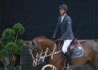 Staut_Reveur_Verona2014_SS7_4447.jpg : FIERA CAVALLI 2014, REVEUR DE HURTEBISE, Staut Kevin, foto di Stefano Secchi ©