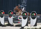 Staut_Reveur_Verona2014_SS7_4458.jpg : FIERA CAVALLI 2014, REVEUR DE HURTEBISE, Staut Kevin, foto di Stefano Secchi ©