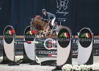 Staut_Reveur_Verona2014_SS7_4459.jpg : FIERA CAVALLI 2014, REVEUR DE HURTEBISE, Staut Kevin, foto di Stefano Secchi ©