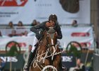 Staut_Reveur_Verona2014_SS7_4461.jpg : FIERA CAVALLI 2014, REVEUR DE HURTEBISE, Staut Kevin, foto di Stefano Secchi ©