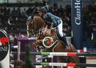 Staut_Reveur_Verona2014_SS7_7768.jpg : FIERA CAVALLI 2014, REVEUR DE HURTEBISE, Staut Kevin, foto di Stefano Secchi ©