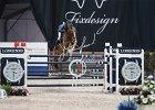 Staut_Reveur_Verona2014_SS7_7771.jpg : FIERA CAVALLI 2014, REVEUR DE HURTEBISE, Staut Kevin, foto di Stefano Secchi ©