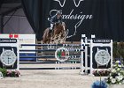 Staut_Reveur_Verona2014_SS7_7773.jpg : FIERA CAVALLI 2014, REVEUR DE HURTEBISE, Staut Kevin, foto di Stefano Secchi ©