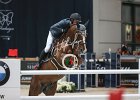 Staut_Reveur_Verona2014_SS7_7774.jpg : FIERA CAVALLI 2014, REVEUR DE HURTEBISE, Staut Kevin, foto di Stefano Secchi ©
