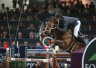 Staut_Reveur_Verona2014_SS7_7776.jpg : FIERA CAVALLI 2014, REVEUR DE HURTEBISE, Staut Kevin, foto di Stefano Secchi ©