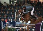 Staut_Reveur_Verona2014_SS7_7777.jpg : FIERA CAVALLI 2014, REVEUR DE HURTEBISE, Staut Kevin, foto di Stefano Secchi ©