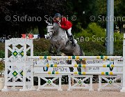 Amodio Honfleur GioCav2013 S5 1446 : Amodio Claudio, Campionati Italiani Giovani Cavalli, Cattolica, Honfleur, ph Stefano Secchi ©