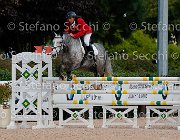 Amodio Honfleur GioCav2013 S5 1448 : Amodio Claudio, Campionati Italiani Giovani Cavalli, Cattolica, Honfleur, ph Stefano Secchi ©