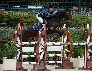 Argenton Perla GioCav2013 S5 1015 : Argenton Virginia, Campionati Italiani Giovani Cavalli, Cattolica, Perla de Villanova, ph Stefano Secchi ©