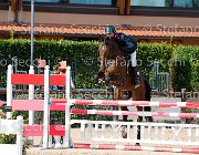 Bacco UNA GioCav2013 S5 4482 : Bacco Gennaro, Campionati Italiani Giovani Cavalli, Cattolica, UNA, ph Stefano Secchi ©