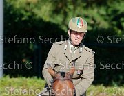 Barbacini Tantobella GioCav2013 S5 1381 : Barbacini Max Andre, Campionati Italiani Giovani Cavalli, Cattolica, Tantobella, ph Stefano Secchi ©