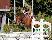 Barbacini Tantobella GioCav2013 S5 1391 : Barbacini Max Andre, Campionati Italiani Giovani Cavalli, Cattolica, Tantobella, ph Stefano Secchi ©