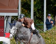 Barbarossa Arieccola GioCav2013 S5 1130 : Arieccola, Barbarossa Mirko, Campionati Italiani Giovani Cavalli, Cattolica, ph Stefano Secchi ©