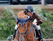 Barbarossa Ippia GioCav2013 S5 2458 : Barbarossa Mirko, Campionati Italiani Giovani Cavalli, Cattolica, Ippia, ph Stefano Secchi ©