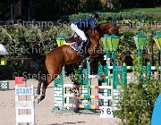 Bassan Bupina GioCav2013 S5 4642 : Bassan Filippo, Bupina, Horses, ph Stefano Secchi ©