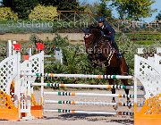 BICOCCHI Ares GioCav2013 S5 1736 : Ares, BICOCCHI Emilio, Campionati Italiani Giovani Cavalli, Cattolica, ph Stefano Secchi ©