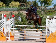 BICOCCHI Ares GioCav2013 S5 1737 : Ares, BICOCCHI Emilio, Campionati Italiani Giovani Cavalli, Cattolica, ph Stefano Secchi ©