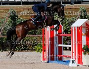BICOCCHI Ares GioCav2013 S5 1749 : Ares, BICOCCHI Emilio, Campionati Italiani Giovani Cavalli, Cattolica, ph Stefano Secchi ©