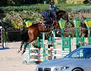 BICOCCHI Ares GioCav2013 S5 4651 : Ares, BICOCCHI Emilio, Horses, ph Stefano Secchi ©