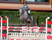 Boccalini Zelanda GioCav2013 S5 4148 : Boccalini Sara, Campionati Italiani Giovani Cavalli, Cattolica, Zelanda del Leccione, ph Stefano Secchi ©