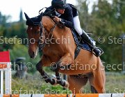 Bresciani Persival GioCav2013 S5 3288 : Bresciani Gabriele, Campionati Italiani Giovani Cavalli, Cattolica, Persival, ph Stefano Secchi ©