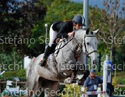 Brilli Dahlila GioCav2013 S5 3872 : Brilli Sara, Campionati Italiani Giovani Cavalli, Cattolica, Dahlila, ph Stefano Secchi ©