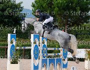 Campanelli Gamine GioCav2013 S5 3683 : Campanelli Antonio, Campionati Italiani Giovani Cavalli, Cattolica, Gamine, ph Stefano Secchi ©